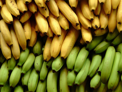 Bananas